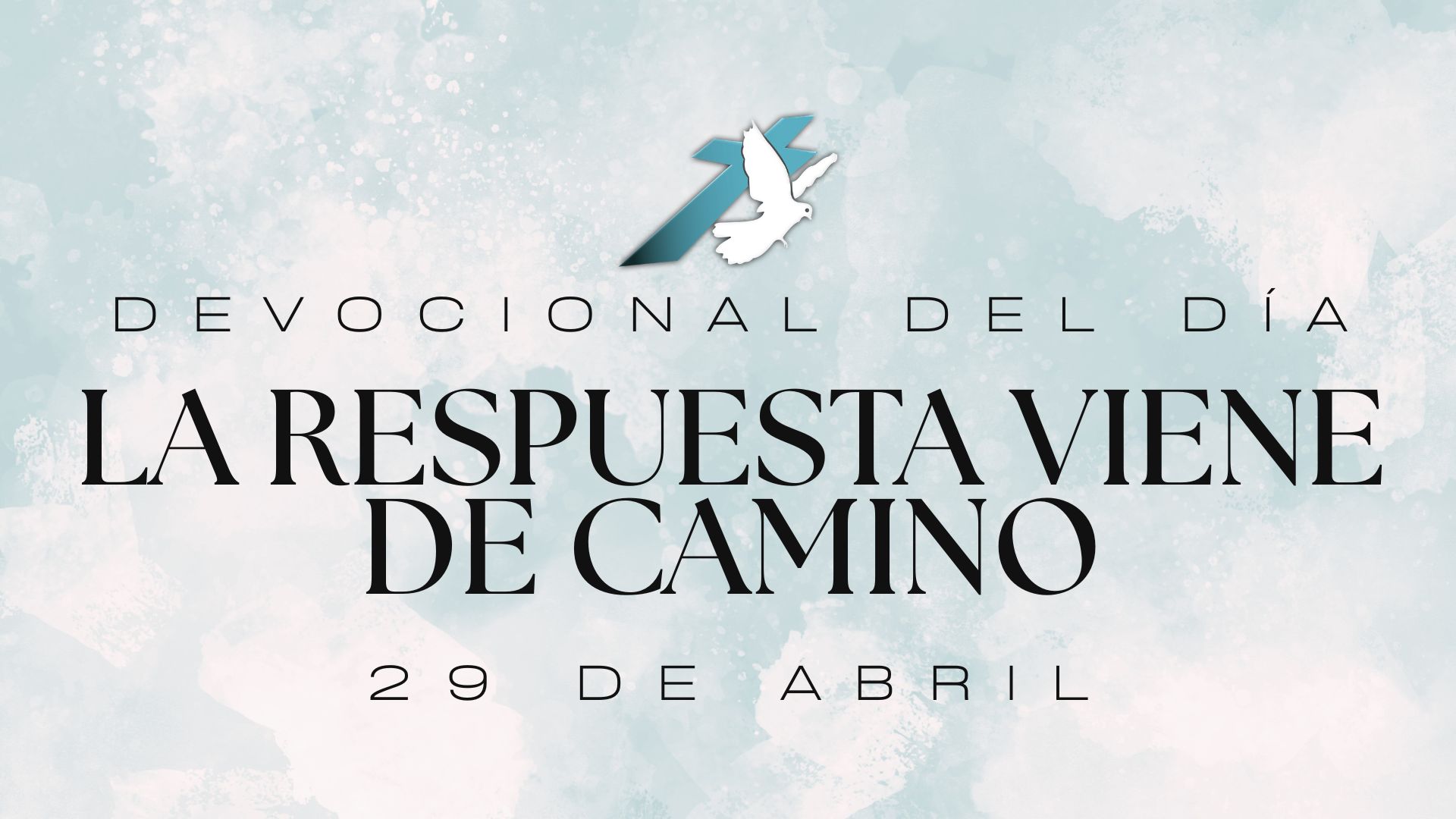 LA RESPUESTA VIENE DE CAMINO