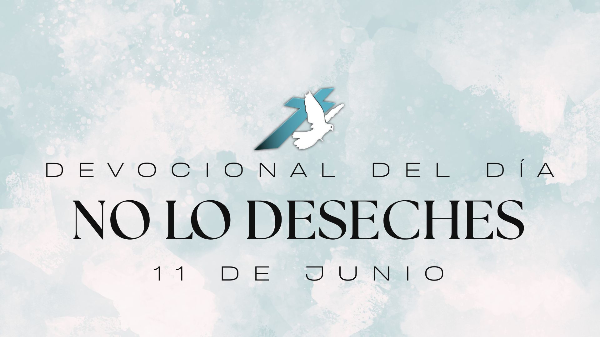 NO LO DESECHES