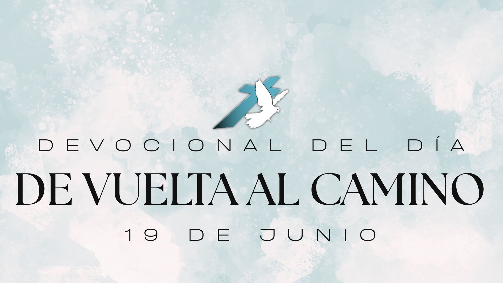 DE VUELTA AL CAMINO